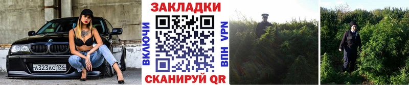 Купить закладку A PVP  COCAIN  МЕФ  МАРИХУАНА  Мегион