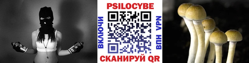 Галлюциногенные грибы Psilocybe  Купить  Мегион 